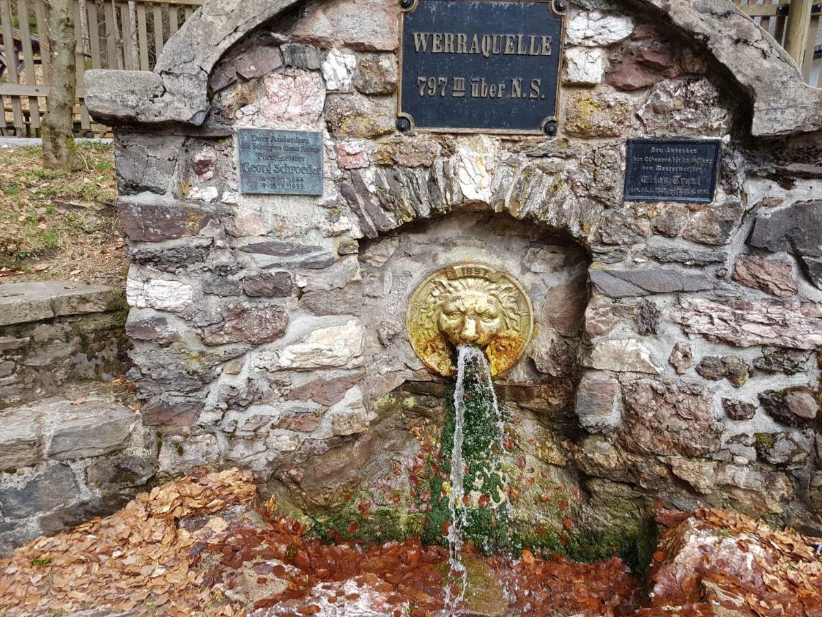 Ferienhaus Lyhs Fehrenbach Kültér fotó